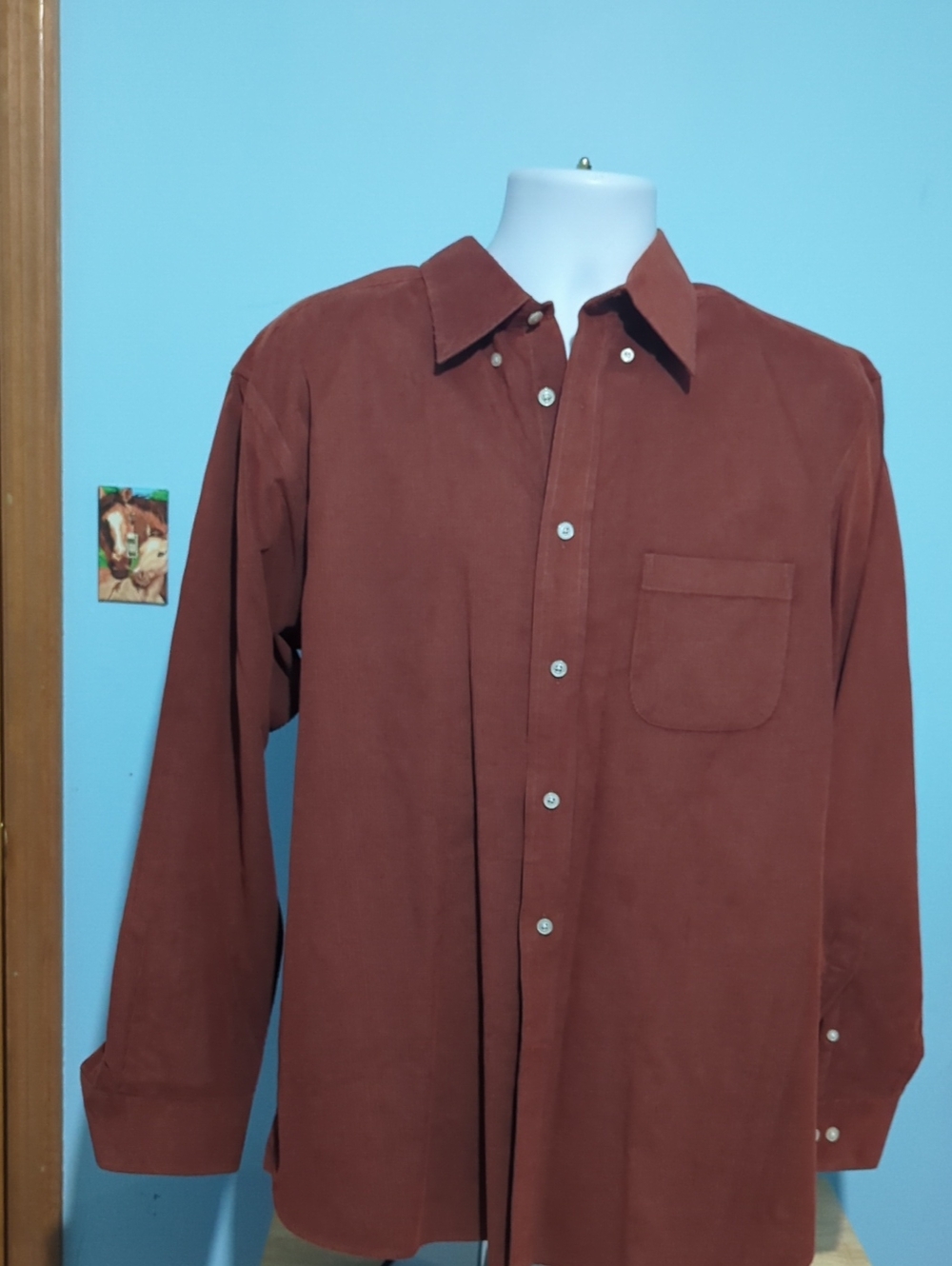 Daniel Cremieux Men's Button-Down Shirt - Rust Brown